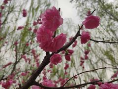 -元大都城垣遗址公园