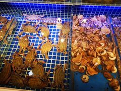 -必点海鲜·鲅鱼水饺(鞍山西道店)