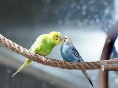 -海合安武汉极地海洋公园