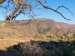 -照金香山旅游景区