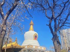 -护国法轮寺