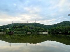 -梧桐庄园