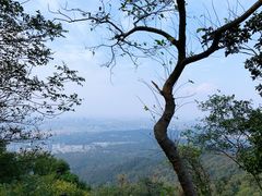 -紫金山天文台