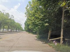 -胜华驾校·小猫学车(银都店)