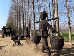 -上海长兴岛郊野公园