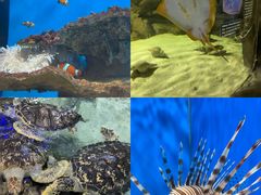 -福州罗源湾海洋世界旅游区