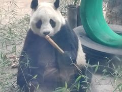 -石家庄市动物园