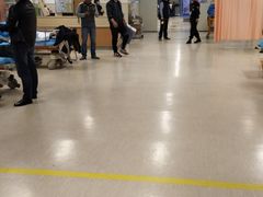 -南京明基医院