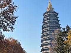 -红梅公园