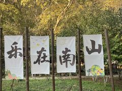 -镇江市南山风景名胜区竹林景区