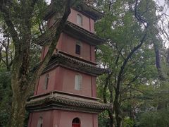 -阿育王寺