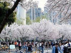 -西北湖绿化广场