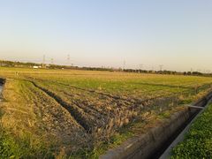 -嘉北郊野公园