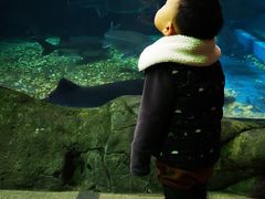 -成都浩海立方海洋公园