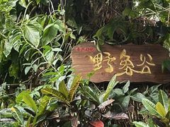 -野象谷景区