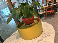 -康师傅私房牛肉面(申虹餐厅店)