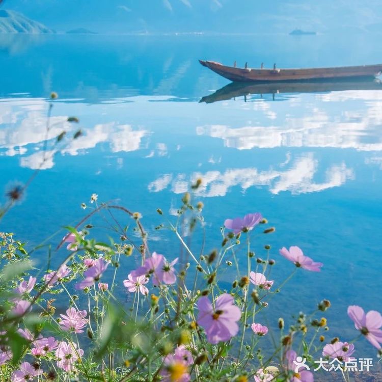 会把小白花送到离它根叶很远很远的地方