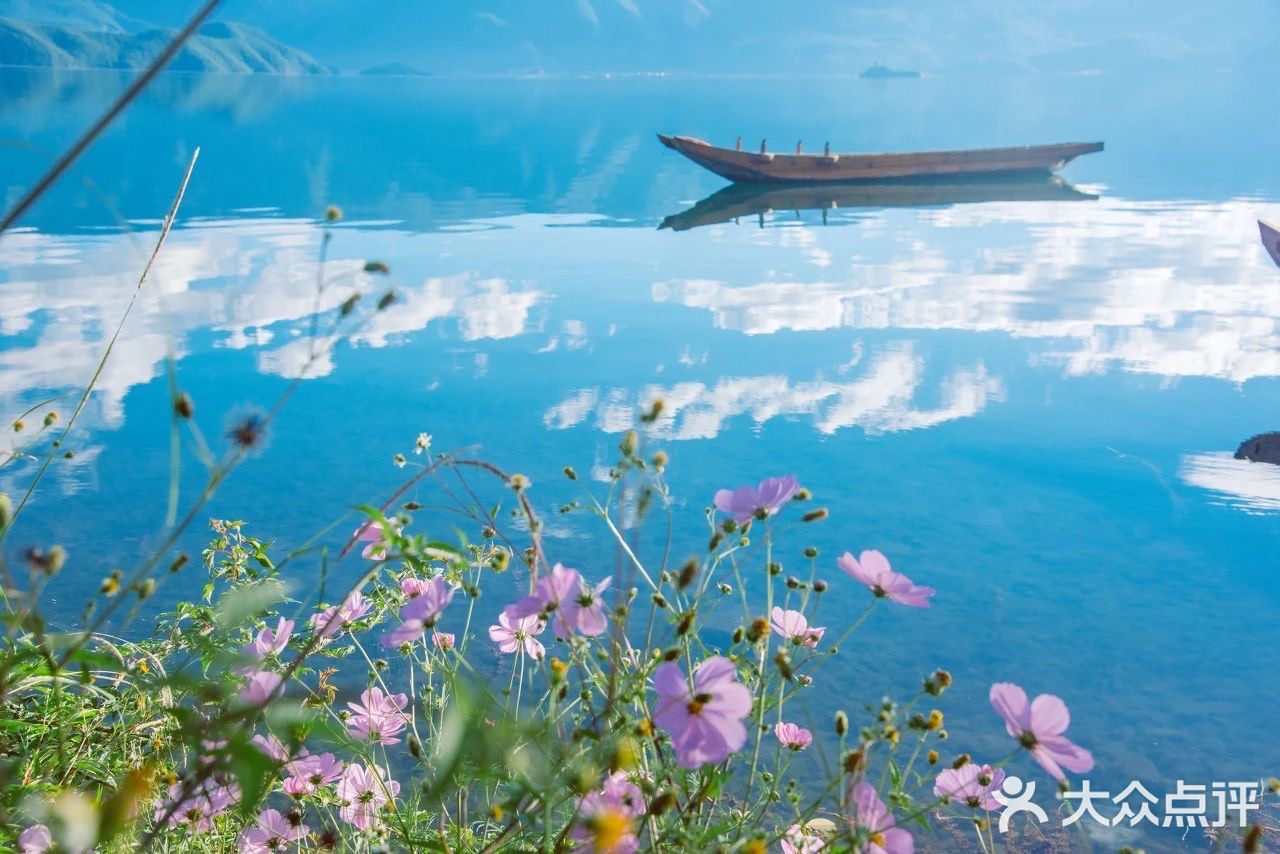 会把小白花送到离它根叶很远很远的地方