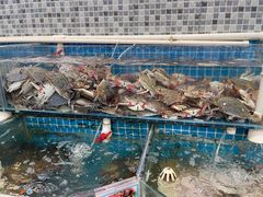 -仙螺岛海鲜自助餐厅(总店)
