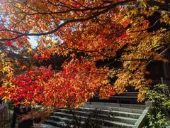 -常寂光寺