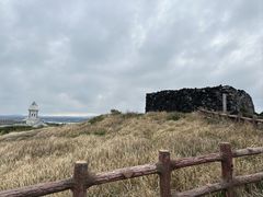 -涉地可支