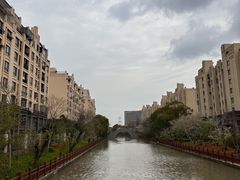 -高东镇樱花园