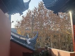 -上海白云观