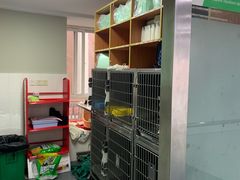 -爱侣宠医·鹦鹉专科·小型哺乳类·异宠专科(灵石路店)