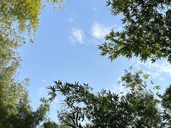 -望江楼公园
