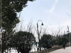 -东湖落雁景区