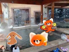 -汉拿山温泉度假酒店