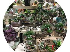 -AEON永旺(东方宝泰店)