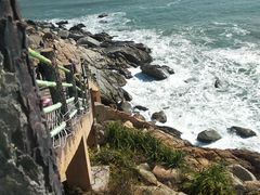-广东惠东海龟国家级自然保护区