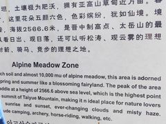 -红崖峡谷景区