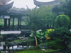 -日出青木