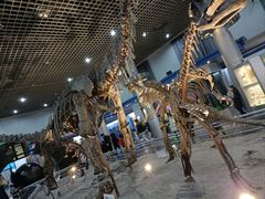 -国家自然博物馆