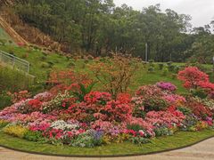 -梧桐山风景名胜区