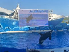 -上海海昌海洋公园