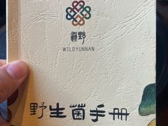 -滇野云南野生菌餐厅(陕西南路店)