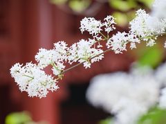 -保定直隶总督署博物馆