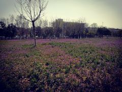 -河海大学(江宁校区)