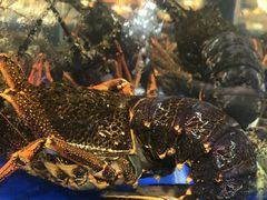 -船家渔(徐州北路店)