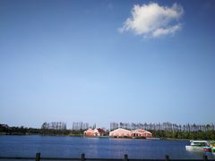 -上海长兴岛郊野公园