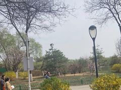 -燕郊植物园