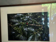 -星巴克臻选(苏州久光百货店)