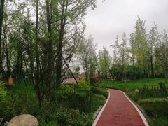 -府河摄影公园