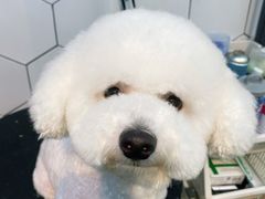 -萌兽医馆·眼科·异宠专科(三里屯店)