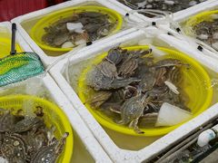 -新农都水产市场