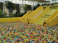 -南宫五洲植物乐园