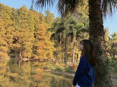 -华南国家植物园-售票处